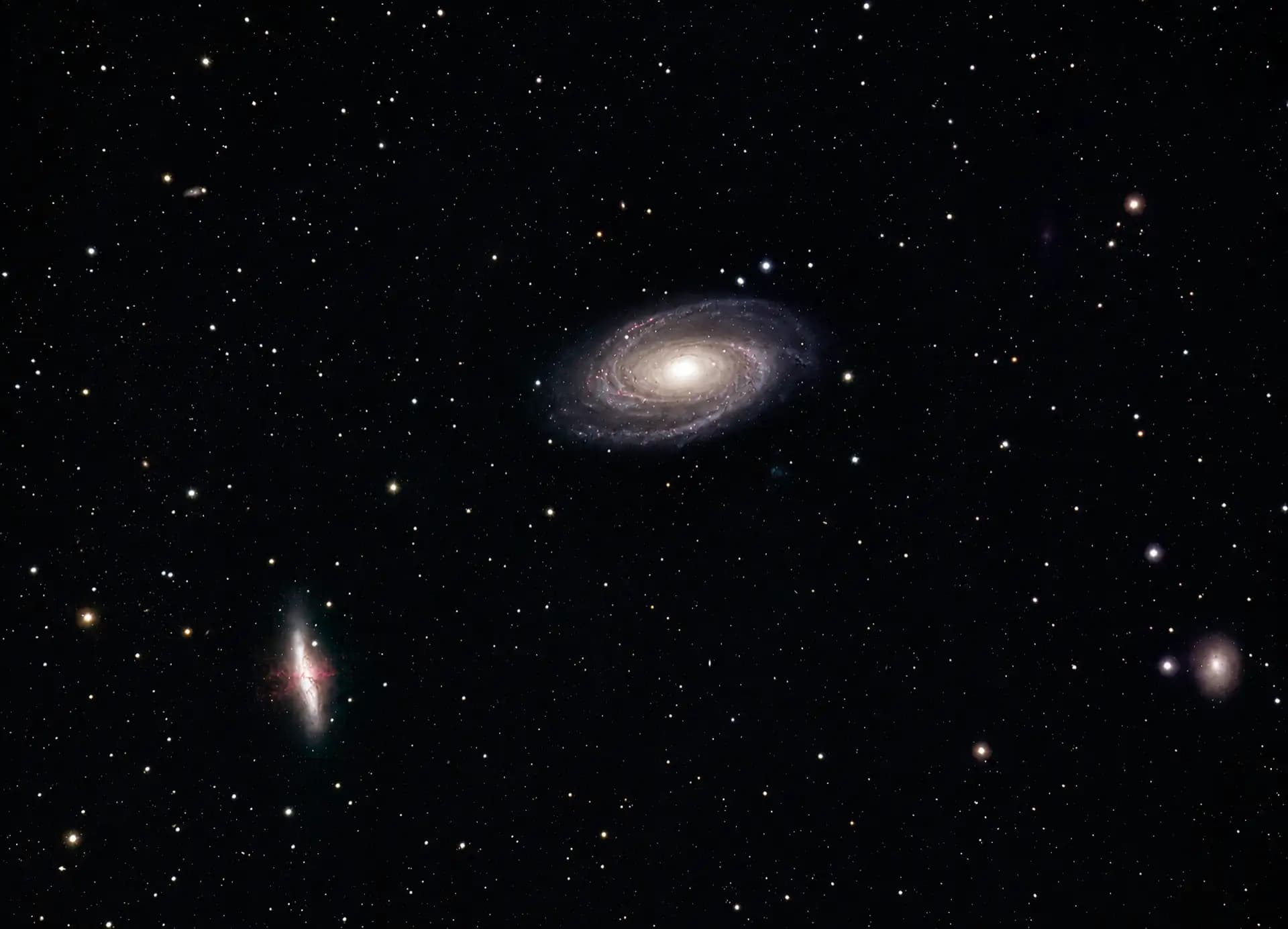 Bode y Cigar
