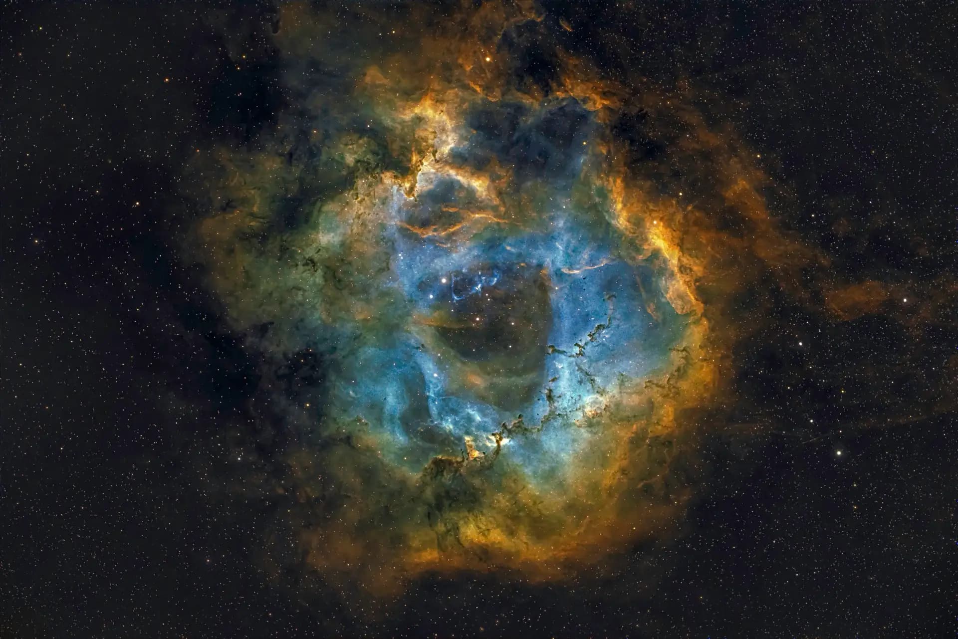 Roseta 