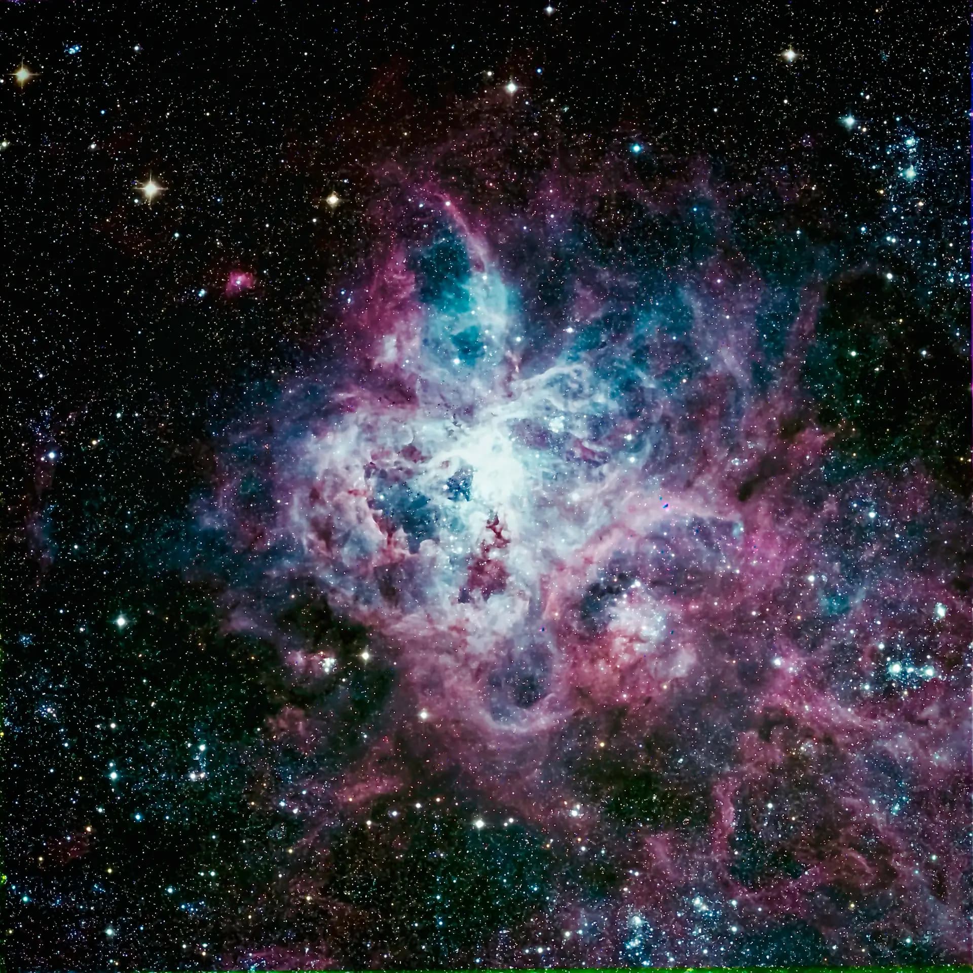 Tarantula