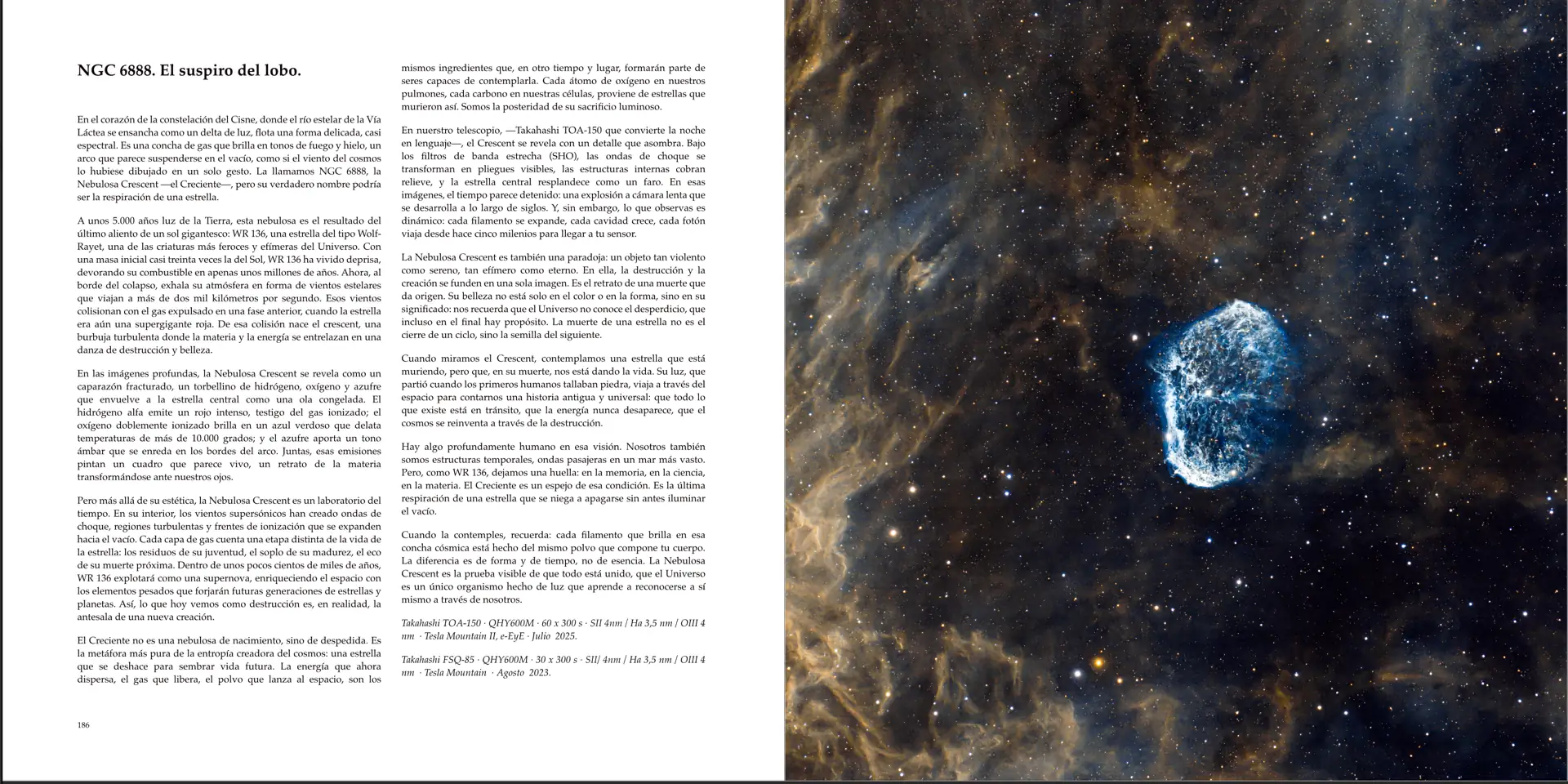 Ejemplos de páginas del libro 13