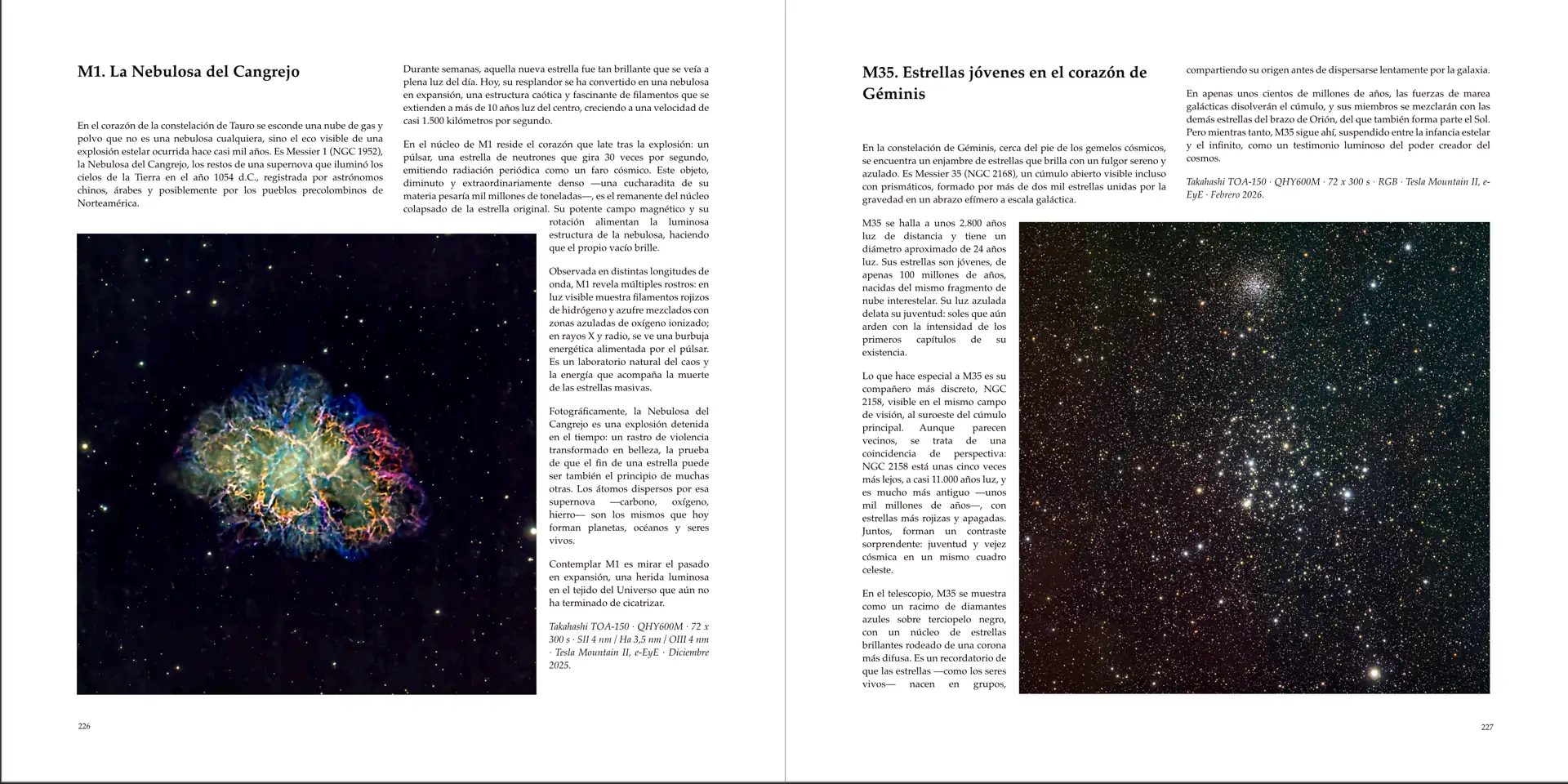 Ejemplos de páginas del libro 14