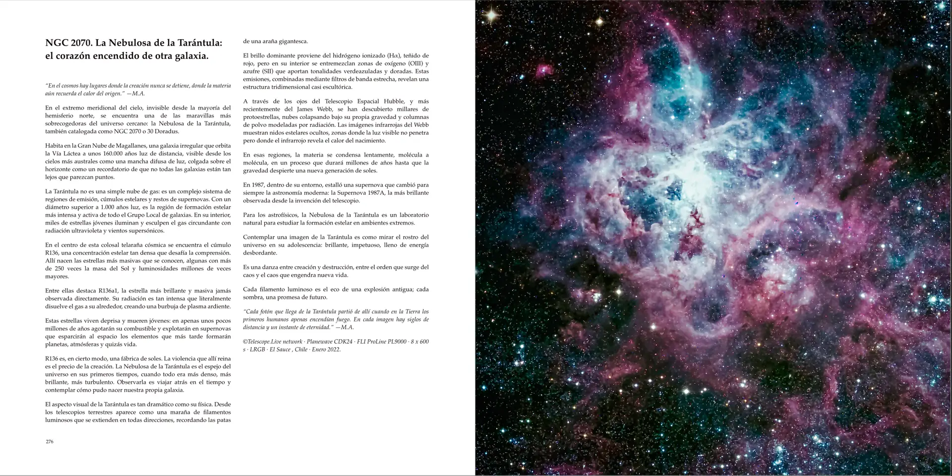 Ejemplos de páginas del libro 17